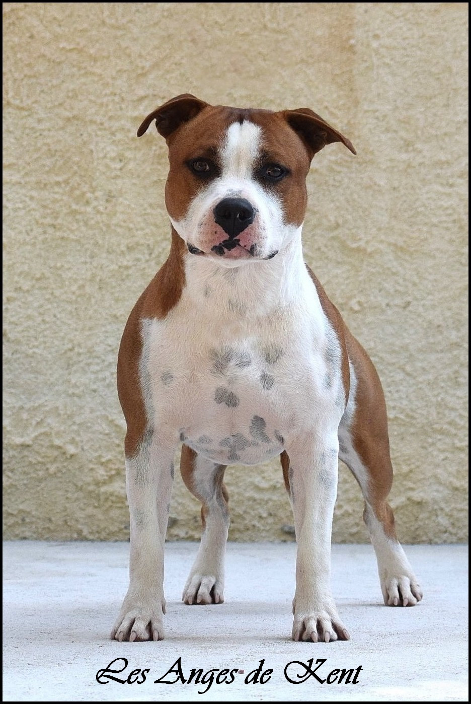 Unusual august days Des Anges De Kent